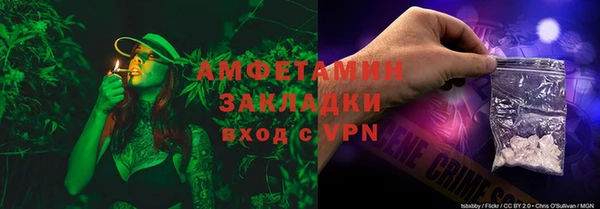шишки Алзамай