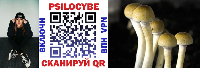 blacksprut сайт  Слободской  Галлюциногенные грибы Psilocybe  купить закладку 